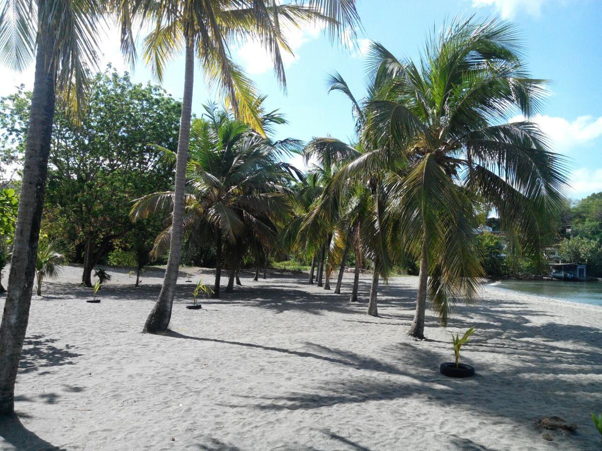 Madiana plage Schoelcher Bagian luar foto